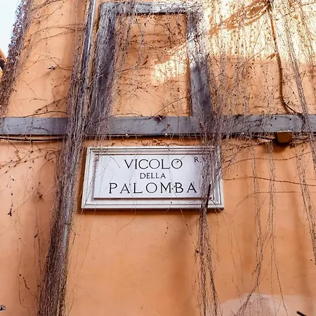 Navona Square - Romedreamhome Apartment Rom