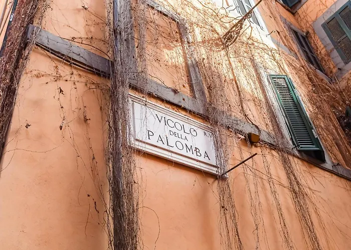 Navona Square - Romedreamhome Daire Roma