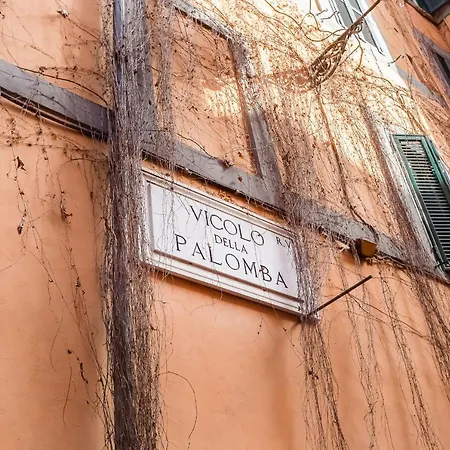Navona Square - Romedreamhome アパート ローマ